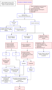 Breast Cancer Staging