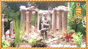 Relaxing Tropical Fish Aquarium Video Tropical Fish Aquarium Fish Tank Themes Fish Aquarium Decorations