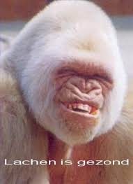 Grappige Dieren Foto S Grappige Dieren Grappige Huisdieren Lachende Dieren