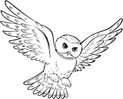 Click on each small picture to. Printable Owl Coloring Pages Hard And Easy 101 Coloring