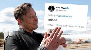 Could elon musk be satoshi nakamoto? Bitcoin Plummets After Elon Musk S Tweet On Selling Stake Business The Times