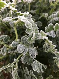 See full list on climatempo.com.br Y Mlyqw6dwwcbm