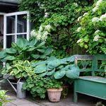 2 Outdoor Finds Small Spaces Salladskal Plant Stand Ikea Garden Furniture Plant Stand Plants