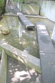 We did not find results for: Go Ahead Build That Water Garden Under Trees Csmonitor Com