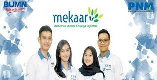 Kemenpan rb adalah singkatan dari kementerian pendayagunaan aparatur negara dan reformasi birokrasi kesimpulan 2 : Syarat Pinjaman Pnm Mekaar Gaji Ao Ulamm Dan Janji Nasabah