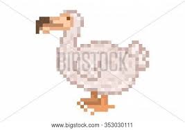 They ranged in size from that of a turkey to larger than an ostrich; Dodo Extinct Vector Photo Free Trial Bigstock