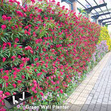 We did not find results for: Plastic Stackable Green Wall Planters Green Wall Flower Pots Buy Plastic Stackable Planter Wall Flower Pots Wall Planters Product On Alibaba Com