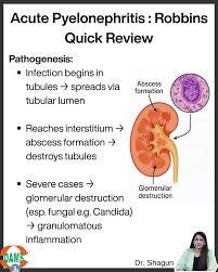 Image result for Acute Pyelonephritis