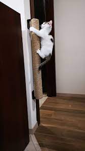 Scratching Post Wall Cat Scratcher Wall Mount Scratching Etsy Modern Cat Furniture Cat Wall Furniture Diy Cat Scratcher