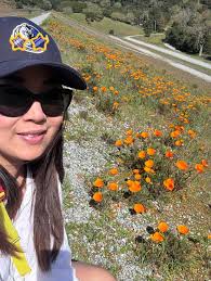 Is the California poppy indigenous from Cal?