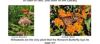 PLANT GIVEAWAY; THREE FREE MILKWEED PLANTS