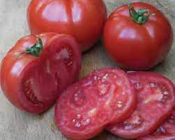 Early maturing with superior disease resistance. Big Beef Tomato Beefsteak Pahl S Market Apple Valley Mn