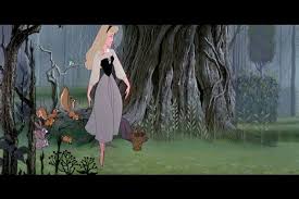 Sleeping Beauty Peasant Dress Disney Sleeping Beauty Sleeping Beauty Evil Witch