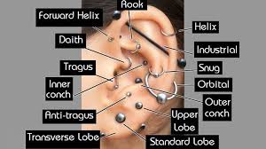 15 types of ear piercings you need to know the trend spotter