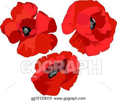 Flower Poppy Set Poppy Flower Drawing Poppy Art Flower Drawing