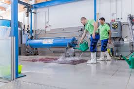 Für eine sorgfältige teppichreinigung in münchen sind große wassermengen notwendig. Bio Teppichreinigung Munchen Tuv Zertifiziertes Rain Wash System