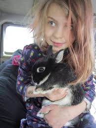 What would you guess the rabbit's name is?