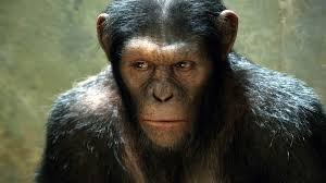Capitalised the hearing impaired sdh parts. Rise Of The Planet Of The Apes Review Movie Empire