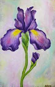 25 5 X 37 5 Original Painting Large Purple And Yellow Flower Painting Acrylic On Canvas Framed In 2021 Iris Painting Acrylic Painting Flowers Flower Painting
