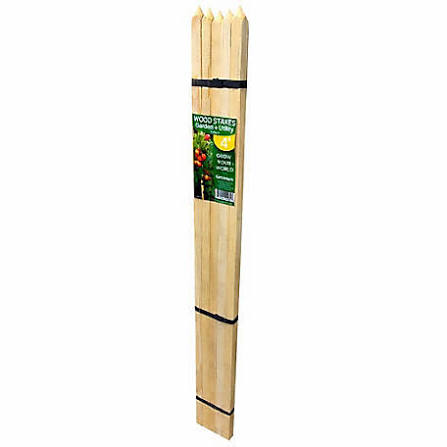 Gardener's Blue Ribbon 8 ft. Sturdy Garden Stakes at Tractor Supply Co