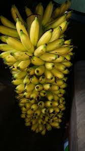 Pisang kepok (matang) saya coba untuk jualan 1k hrgnya•minyak sayur•gula pasir (mixer) karna tdk ad gula halus•coklat bubuk apa saja (saya beli bks an per ons no. Warisan Petani Pisang 40 Hari