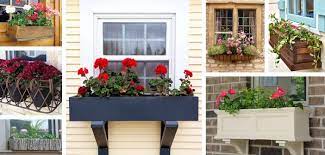 Cake boxes direct (formerly hayes brothers), was first established in 1990 and now provides a wide range of packaging products. 26 Best Window Box Planter Ideas And Designs For 2021