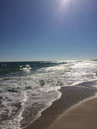 We did not find results for: St George Island Saint George Island Port St Lucie Florida Apalachicola Florida