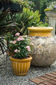 Check spelling or type a new query. How To Grow Patio Roses In Containers Hgtv