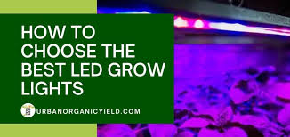 King plus 1500w led grow light. Reviews Of The Best Led Grow Lights For Indoor Plants