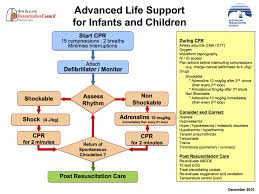 Paediatric Life Support Litfl