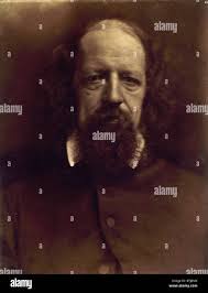 Julia margaret cameron alfred tennyson hi-res stock photography and images 