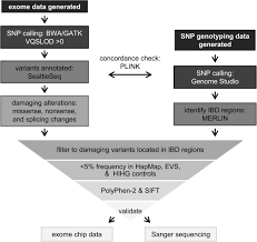 Flowchart Of Sequencing And Filtering Methods To Identify