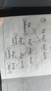 Bone with a bow, graphic outline drawing, vector, isolated on white. Solved Draw The Subtrees For The Italicized Nps In The Following Sentences A Every Child S Mother Hopes He Will Be Happy B The Big Dog S Bone I Course Hero