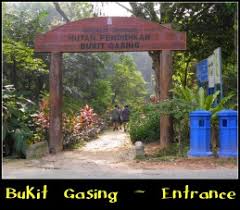 But trail 2 is shorter and less tiring. Bukit Gasing Forest Park A City Jungle Trail