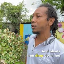 Hurricane Beryl stories