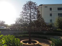 beautiful faux tree in the garden mercy gilbert hospital phoenix children s hospital dignity health 3555 s val vista dr g childrens hospital faux tree vista