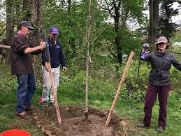 Plant community trees and order your own tree