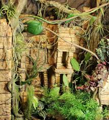 Jungle Ruins Vivarium Theme Vivarium Frog Terrarium Reptile Terrarium