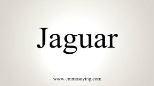 Jul 10, 2021 · how to say jaguar in english? How To Pronounce Jaguar Youtube