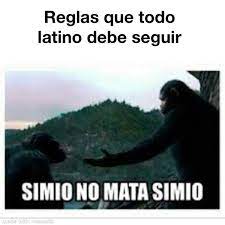 Simio no mata simio : r/MAAU