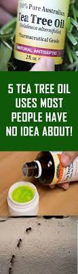 5 Tea Tree Oil Tea Tree Oil Uses Tea Tree Oil Essential Oils Herbs