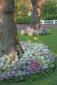Pin By Vicki Kern On Gardening Landscaping Around Trees Planting Flowers Shade Garden