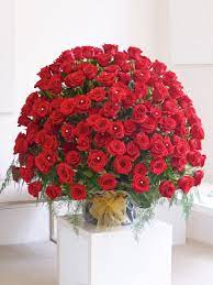 Yellow tulips in white flower pot. 150 Red Rose Flowers Kisses Big Red Flowers Bouquet On Valentine S Day