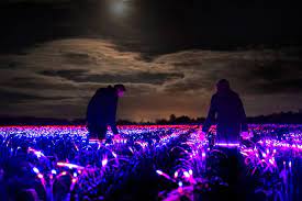 Ranging from fashion to architecture, his work is characterized by the interaction between art. Daan Roosegaarde S Grow Installation Combines Lighting And Agriculture