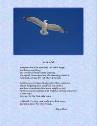 The Joys Of Aging Reframed By Mary Oliver Mary Oliver Poems Poetry Inspiration Mary Oliver Quotes