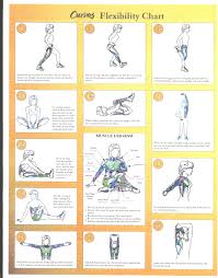 Explanatory Warm Up Cool Down Exercise Chart Warm Up Cool