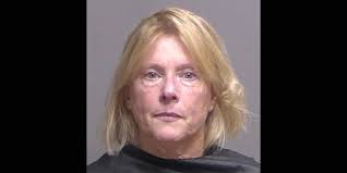 Palm Coast Woman Arrested for Chasing Down 14 Year Old