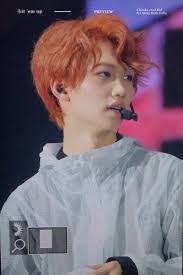 Don Ginger's Instagram, Twitter & Facebook