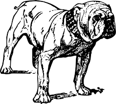 Á Dibujos De Perros Video Pinta Al Mejor Amigo Del Hombre Á¶áµá´¥áµá¶ El libro de dibujo para los amantes de las mascotas. á dibujos de perros video pinta al