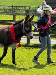 Redwings Horse Sanctuary added...